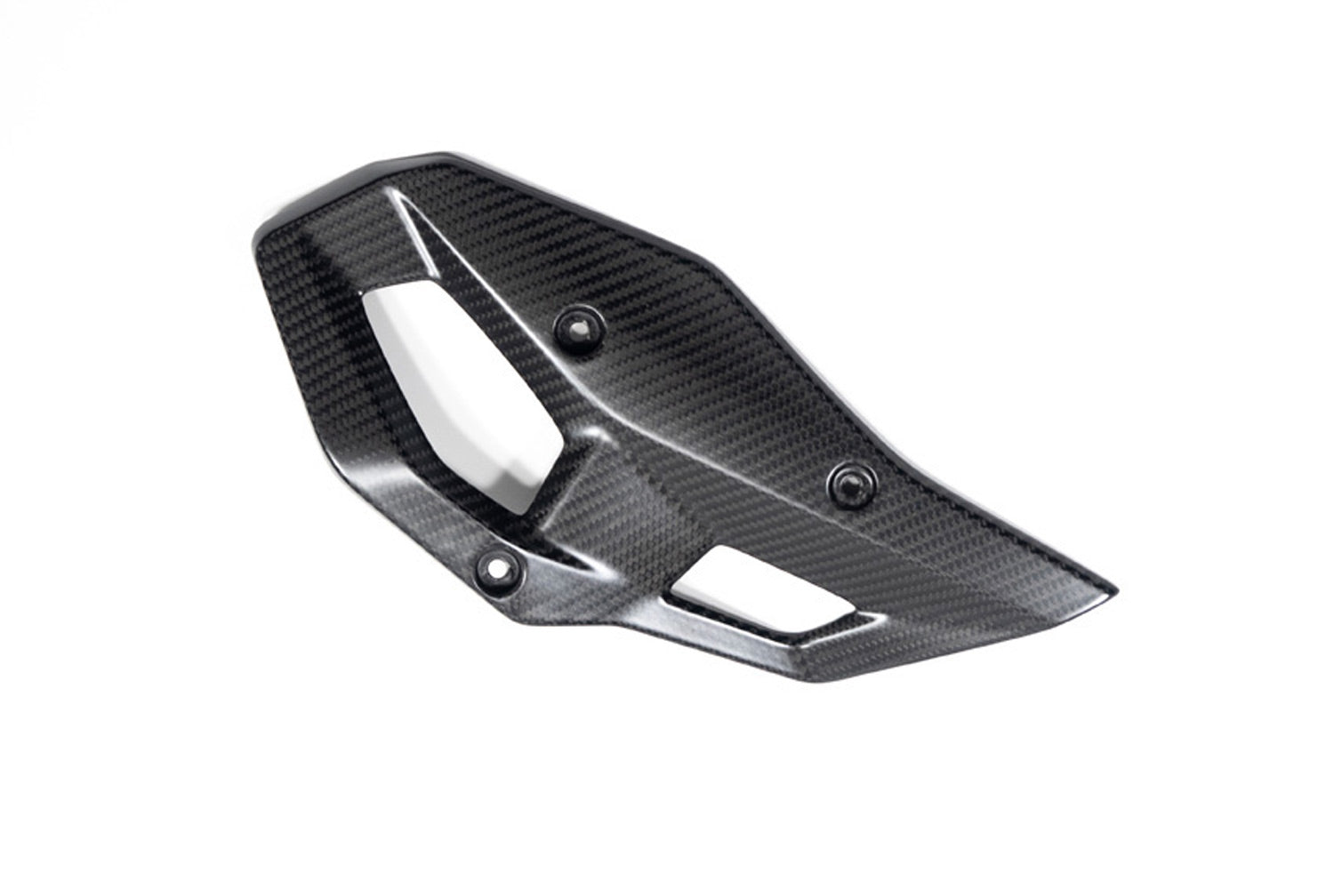 Ilmberger - Heel Protector for R 1300 GS