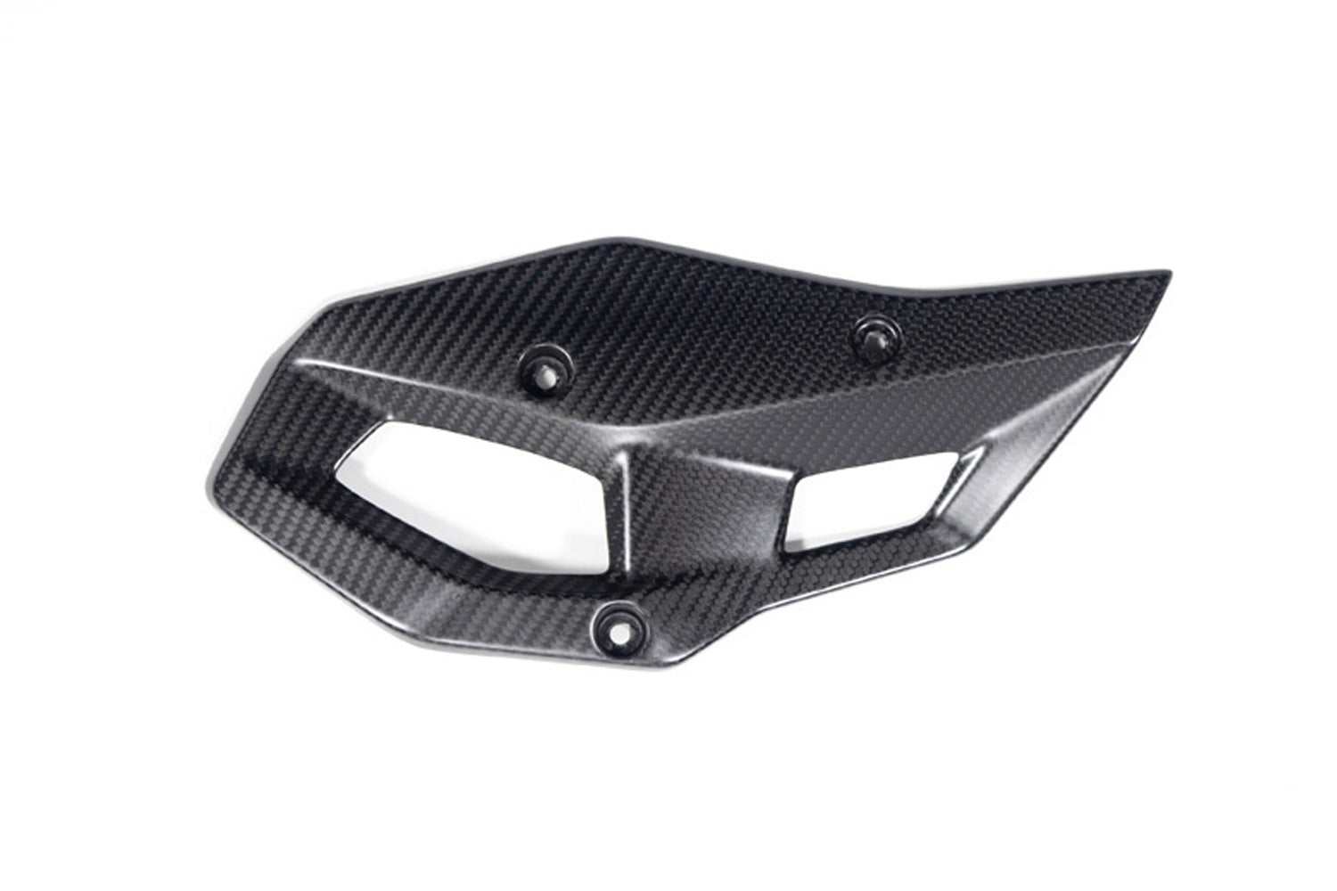Ilmberger - Heel Protector for R 1300 GS