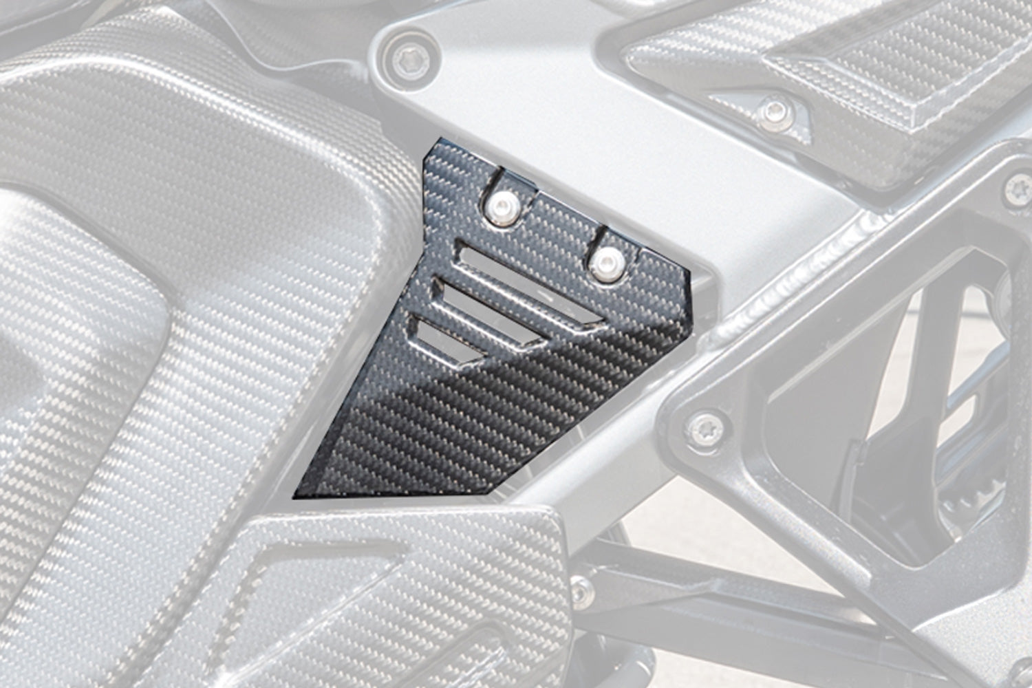 Ilmberger - Front Triangle Cover for Rear Frame for R 1300 GS Adventure