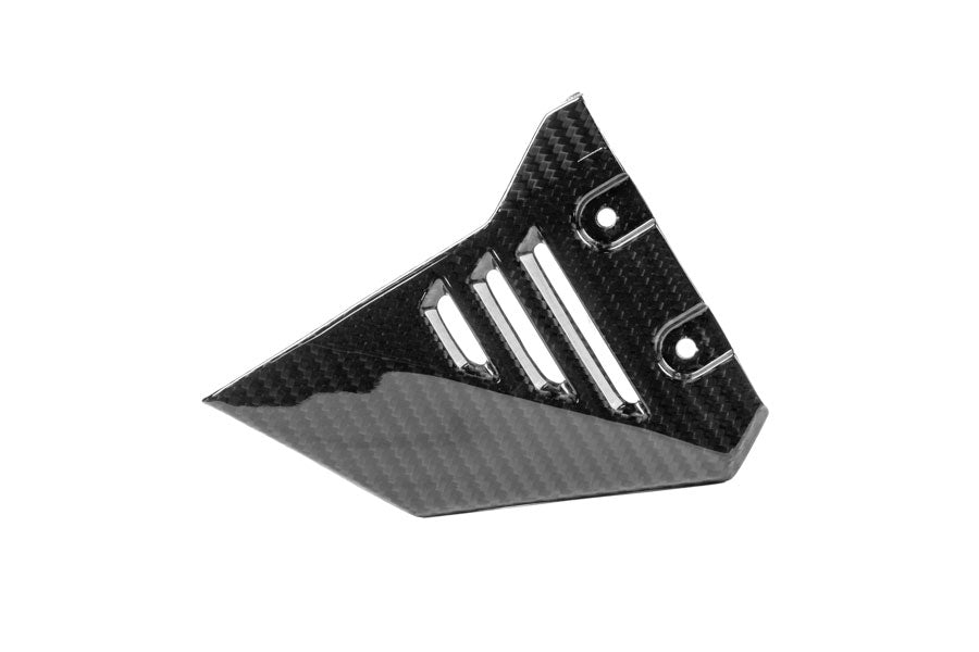 Ilmberger - Front Triangle Cover for Rear Frame for R 1300 GS Adventure