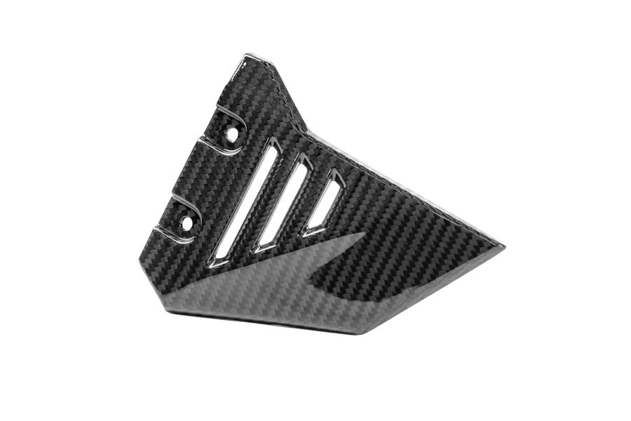 Ilmberger - Front Triangle Cover for Rear Frame for R 1300 GS Adventure