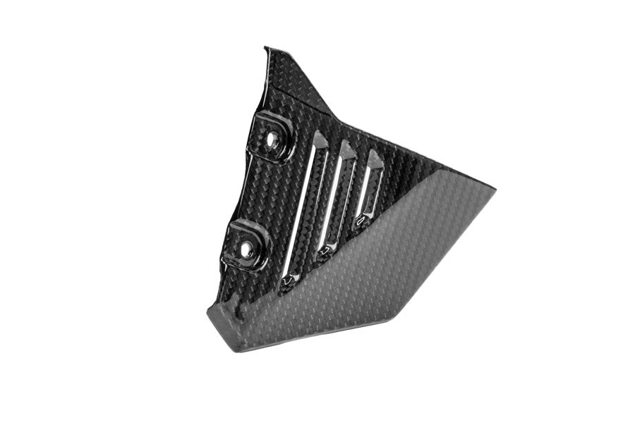 Ilmberger - Front Triangle Cover for Rear Frame for R 1300 GS Adventure
