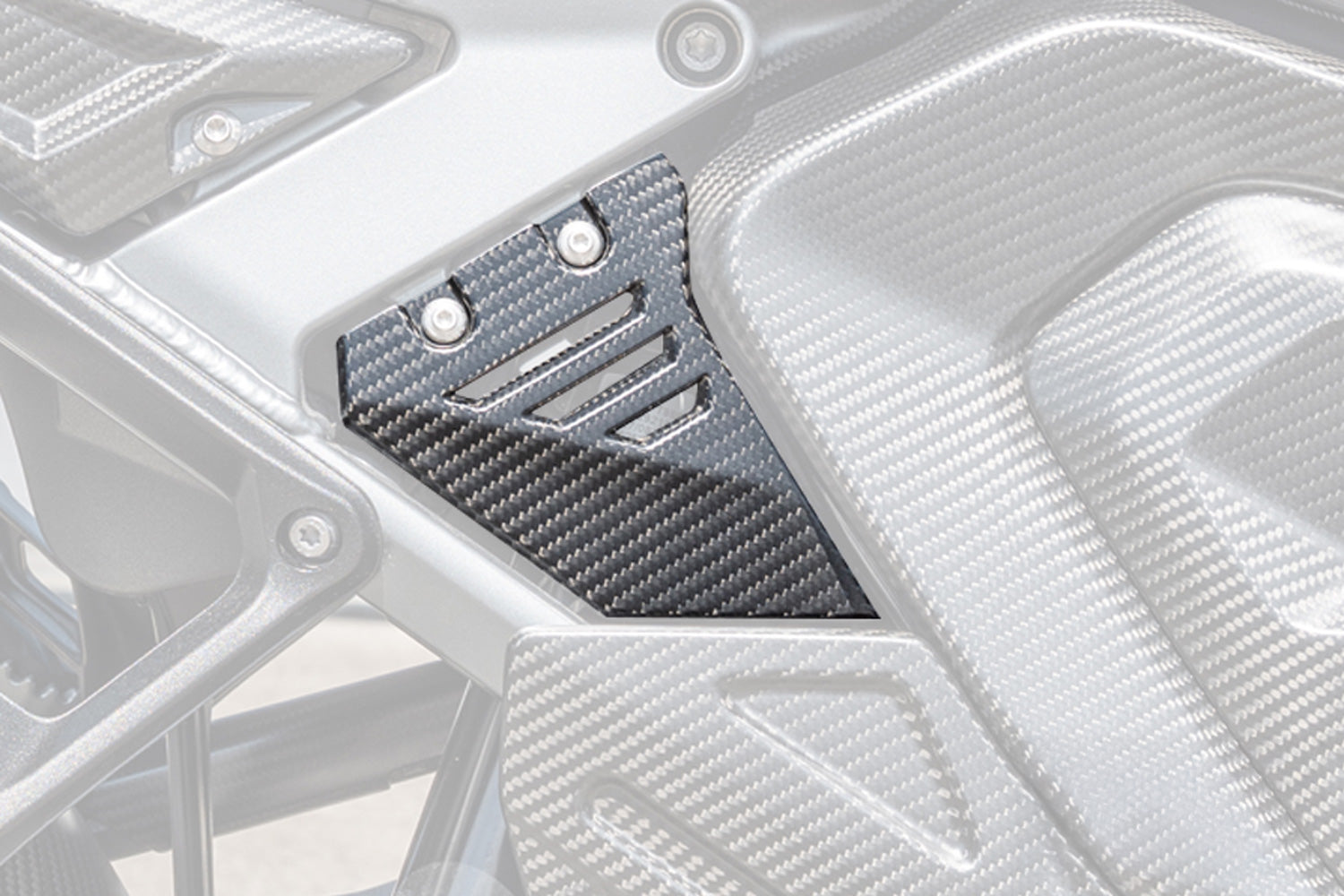 Ilmberger - Front Triangle Cover for Rear Frame for R 1300 GS Adventure