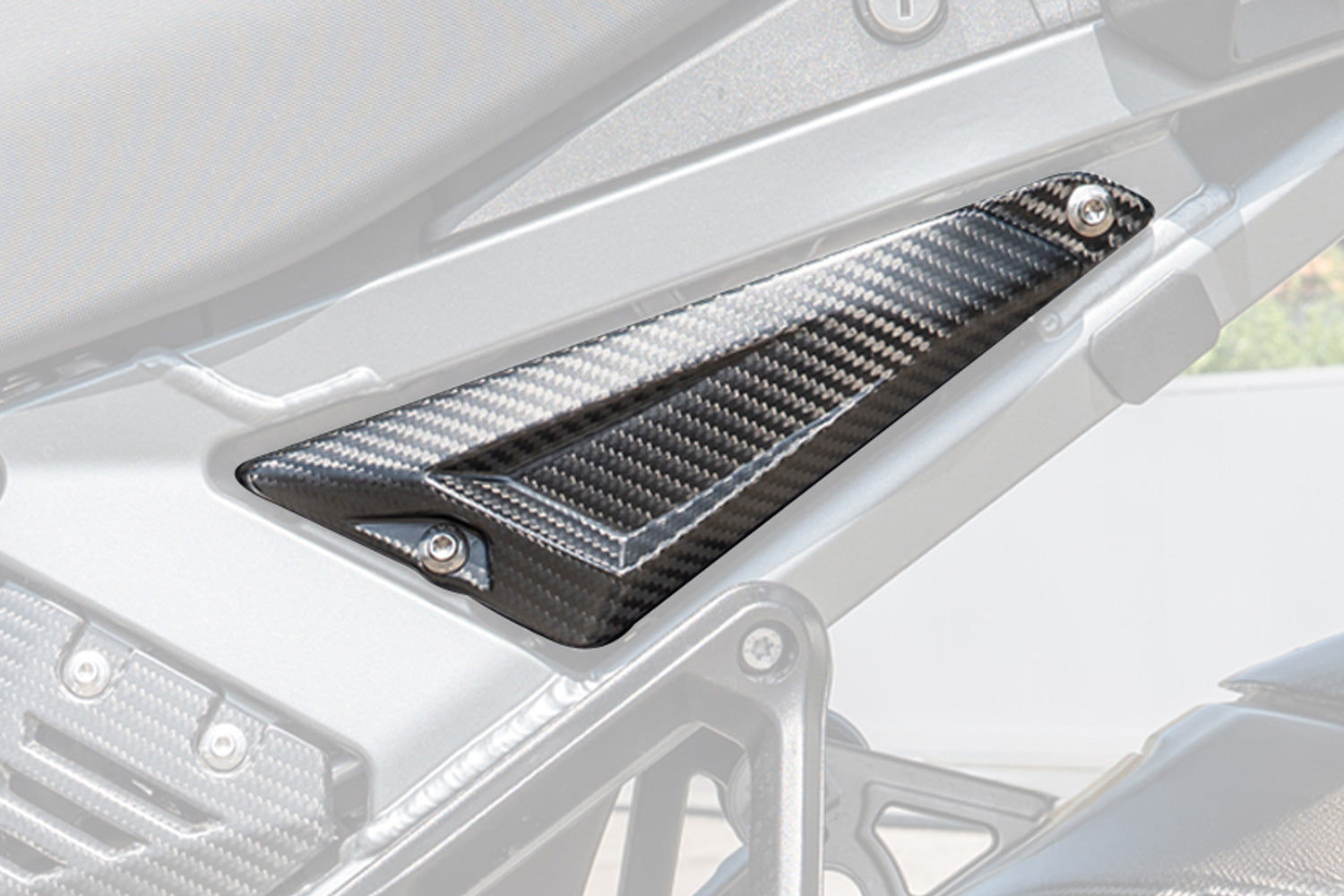 Ilmberger - Rear Triangle Cover for Rear Frame for R 1300 GS Adventure