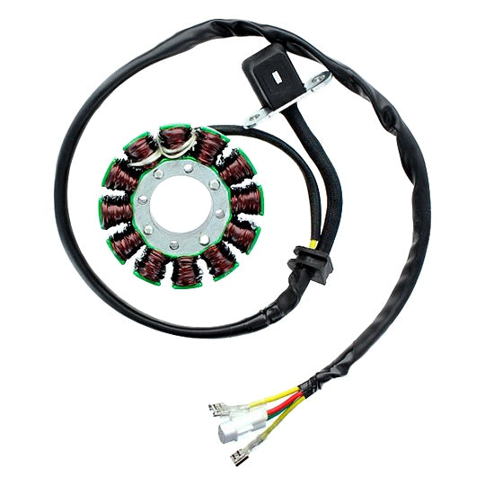 Electrosport-STATOR KTM ELECTROSPORT ESG169 799804162129