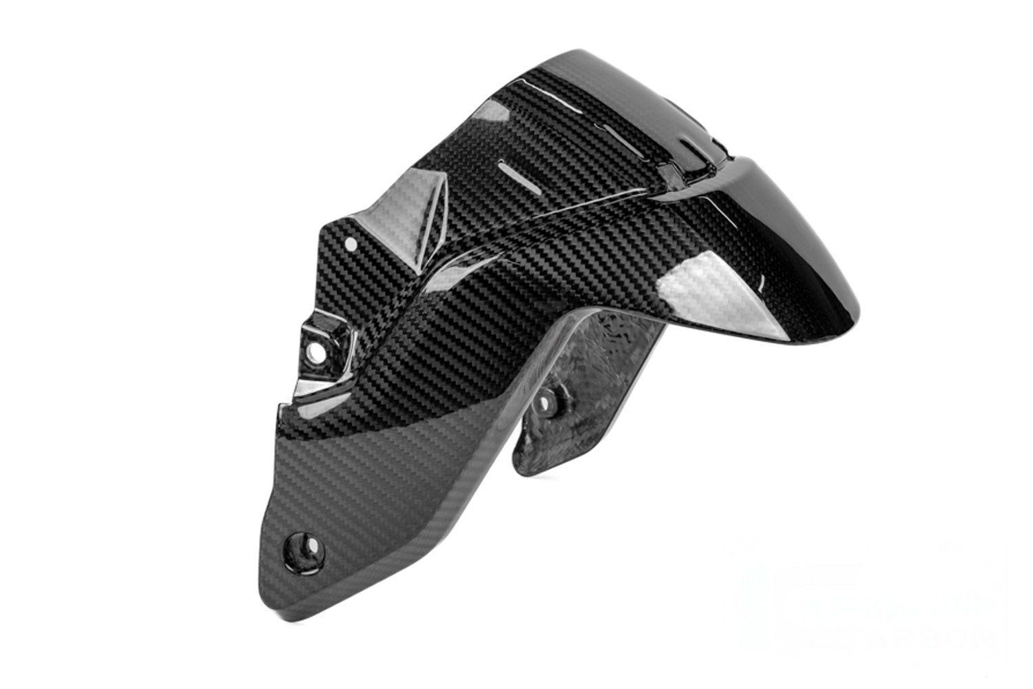 Ilmberger - Mudguard for BMW R 1300 R / RS