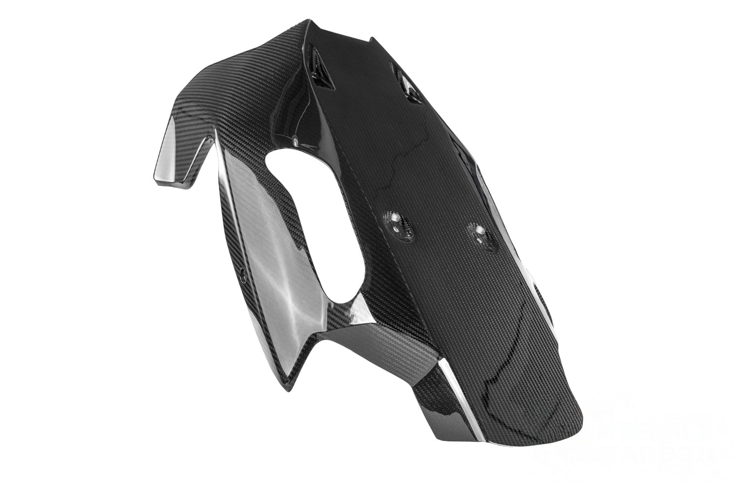 Ilmberger - Engine Spoiler for BMW R 1300 R/RS