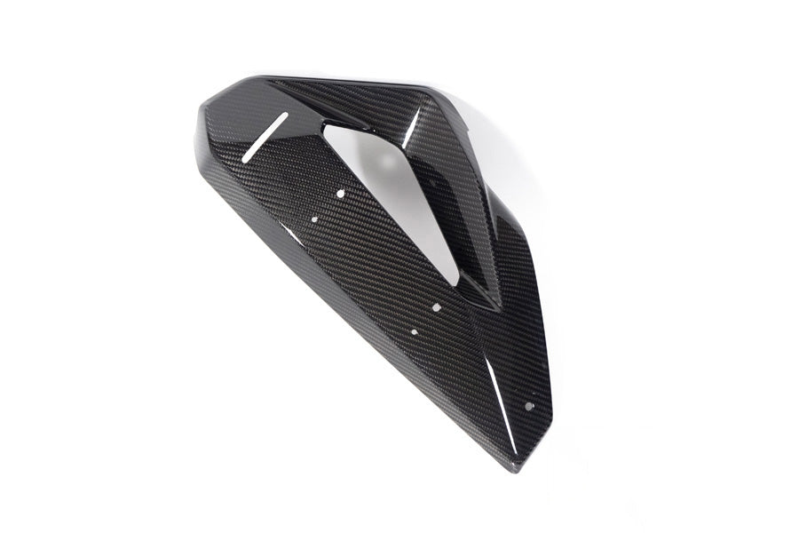 Ilmberger - Cover on Radiator Fairing + Winglet Mount for M 1000 XR