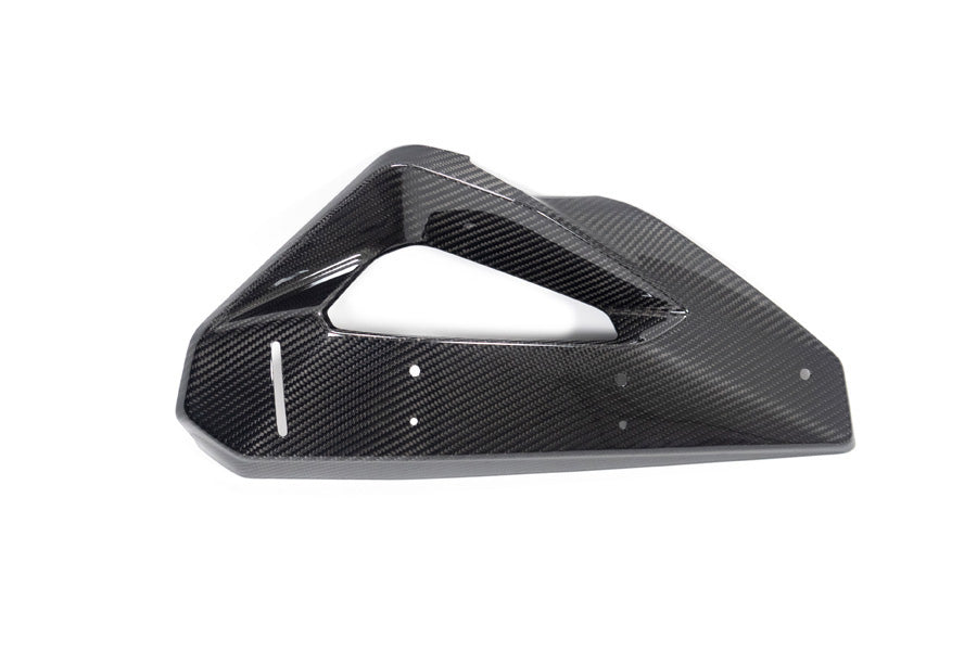 Ilmberger - Cover on Radiator Fairing + Winglet Mount for M 1000 XR