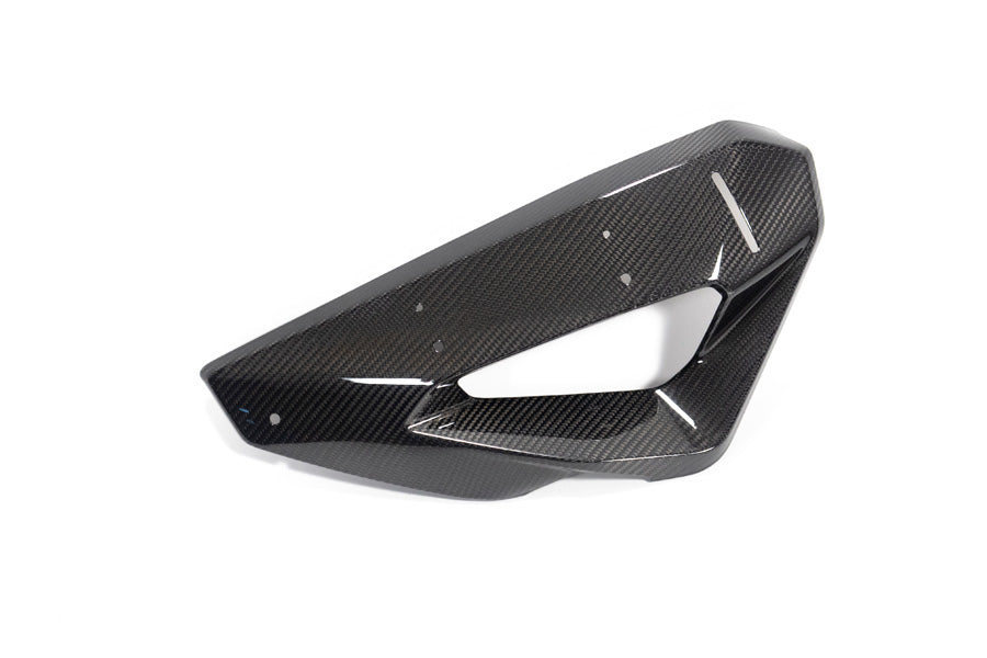 Ilmberger - Cover on Radiator Fairing + Winglet Mount for M 1000 XR