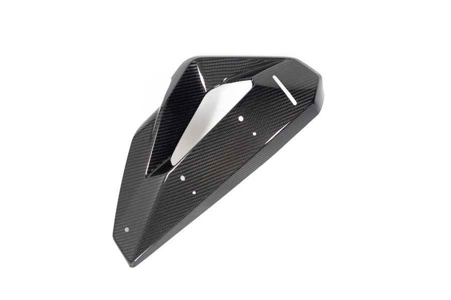 Ilmberger - Cover on Radiator Fairing + Winglet Mount for M 1000 XR