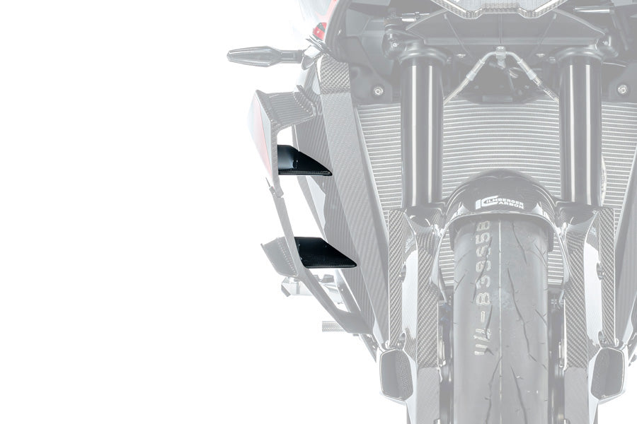 Ilmberger - Inner Winglet for M 1000 XR