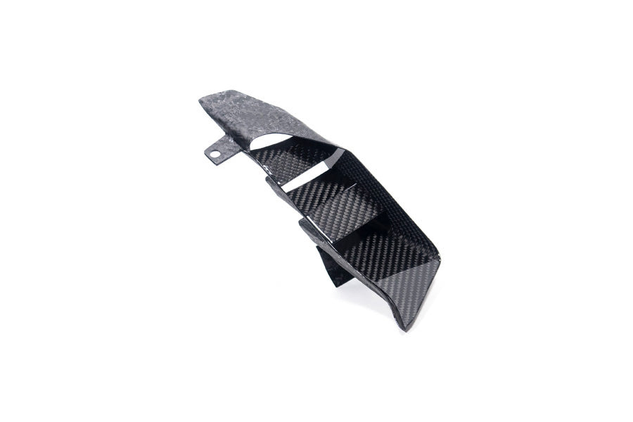 Ilmberger - Rear Winglet for M 1000 XR