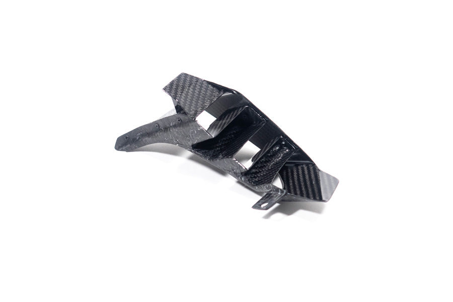Ilmberger - Rear Winglet for M 1000 XR
