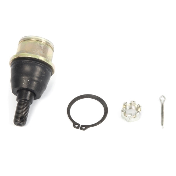 AllBallsRacing-BALL JOINT UPR C-AM ALLBALLS 42-1043 723980400997