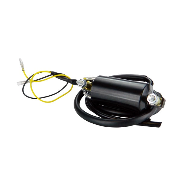 KimpexHD - 6 Volts External Ignition Coil (SF-060-004476)
