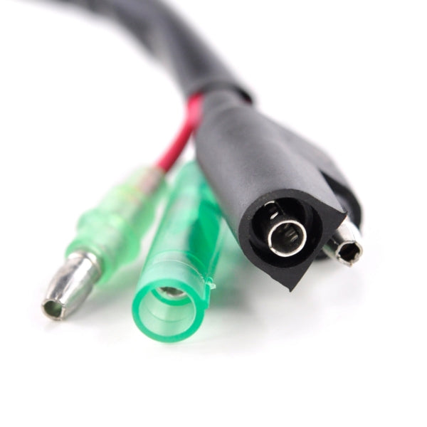KimpexHD - Stator (SF-010-001933)