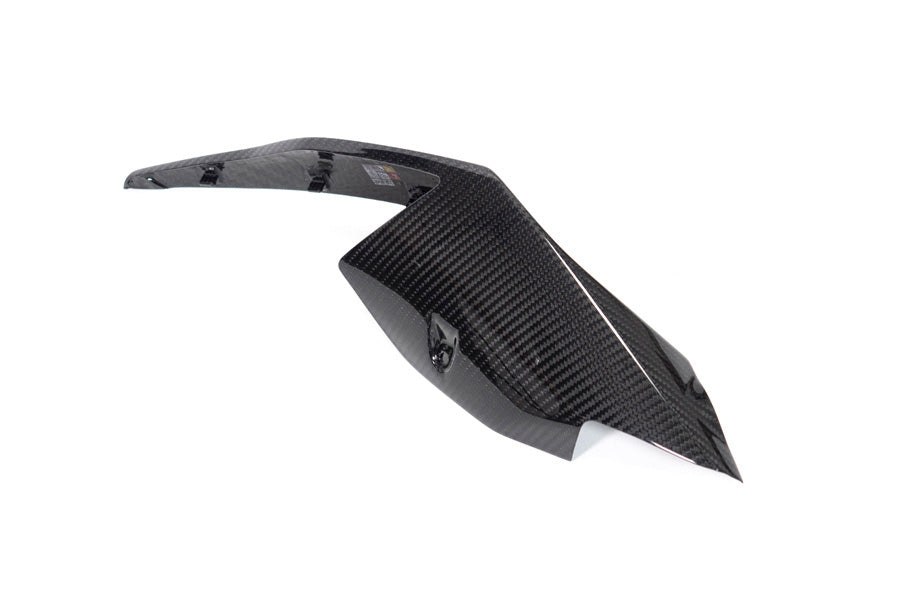 Ilmberger - Tail Fairing for S 1000 RR