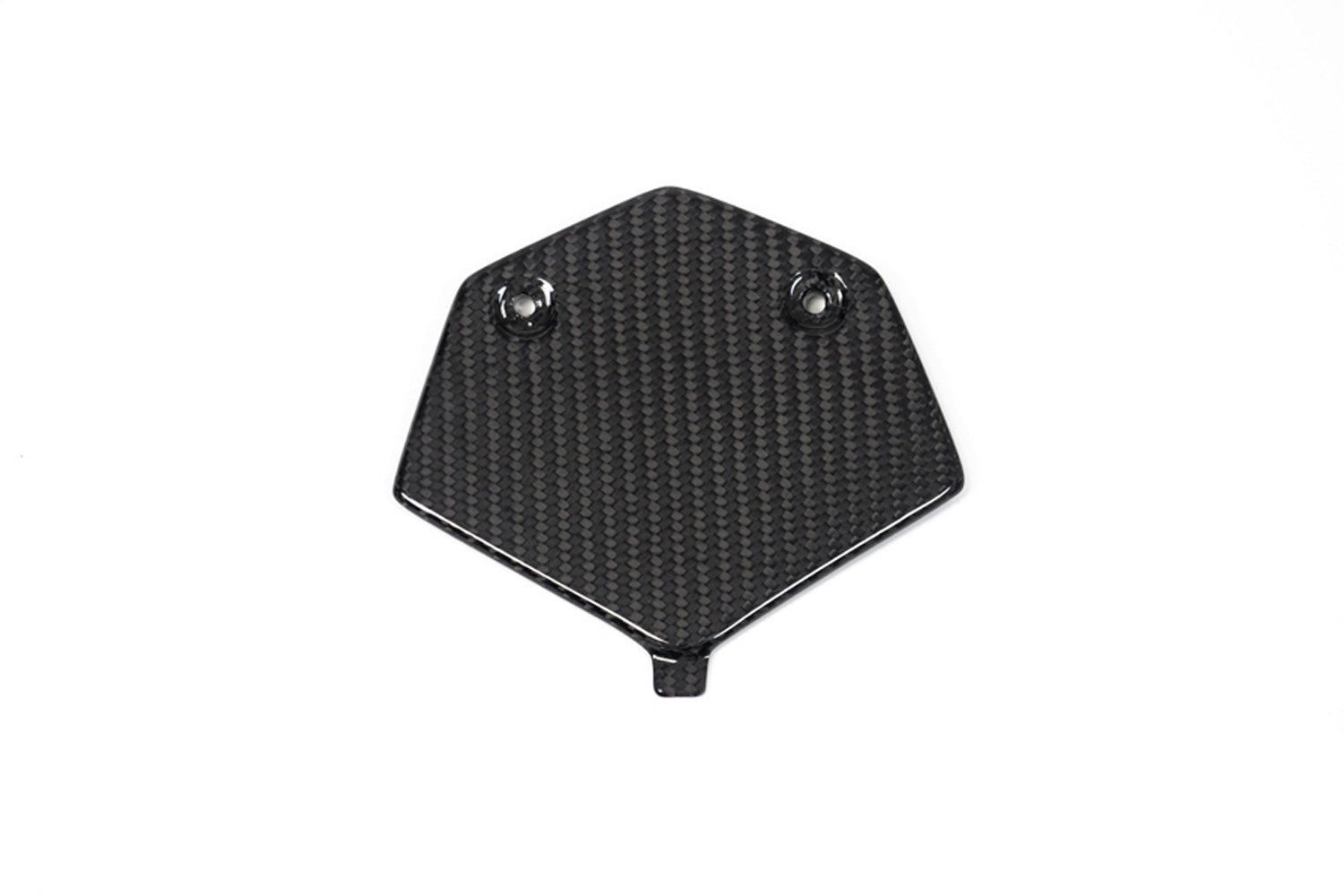 Ilmberger - Tail Fairing Racing for M 1000 RR
