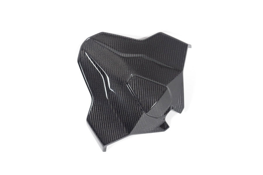 Ilmberger - Tail Fairing Monoposto for M 1000 RR