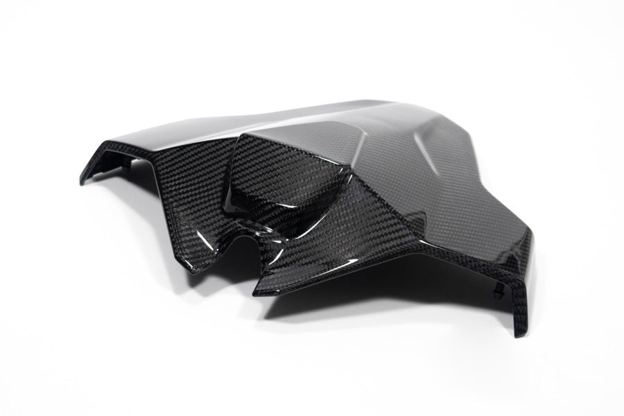 Ilmberger - Tail Fairing Monoposto for M 1000 RR