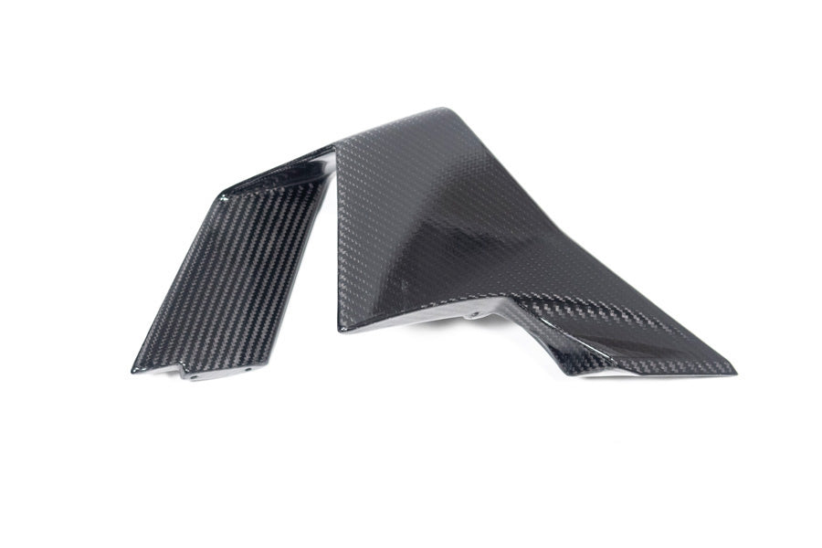 Ilmberger - Faring Side Winglet for M 1000 RR M 1000 RR