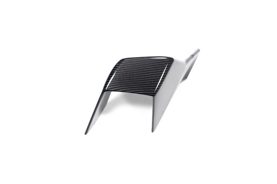 Ilmberger - Faring Side Winglet for M 1000 RR M 1000 RR