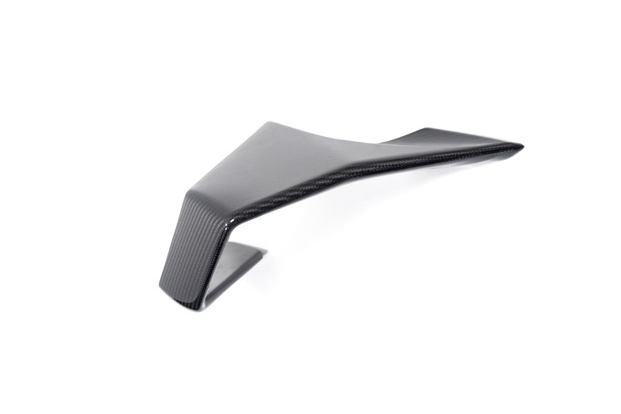 Ilmberger - Faring Side Winglet for M 1000 RR M 1000 RR