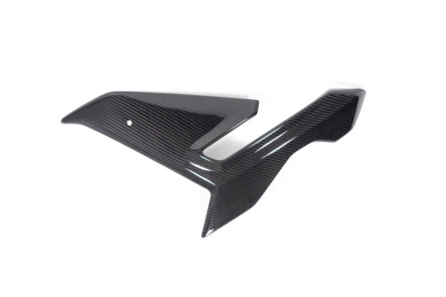 Ilmberger - Side Fairing for M 1000 R