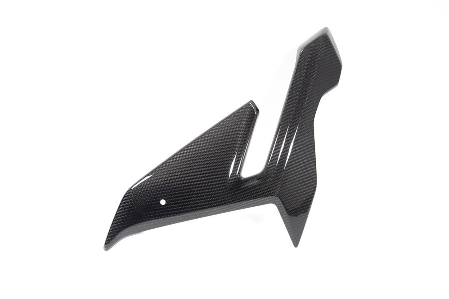 Ilmberger - Side Fairing for M 1000 R