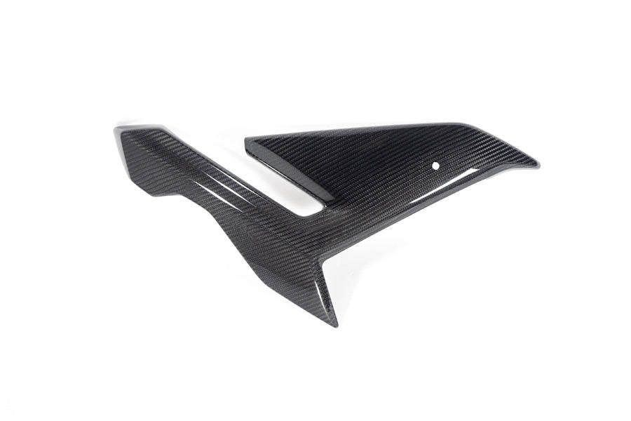 Ilmberger - Side Fairing for M 1000 R