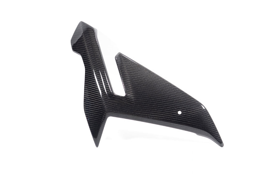 Ilmberger - Side Fairing for M 1000 R