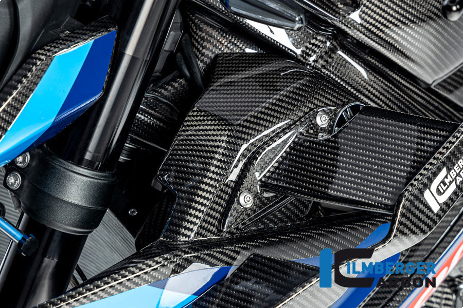 Ilmberger - Radiator Protection for M 1000 R