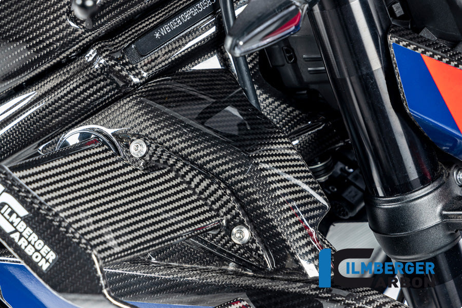 Ilmberger - Radiator Protection for M 1000 R