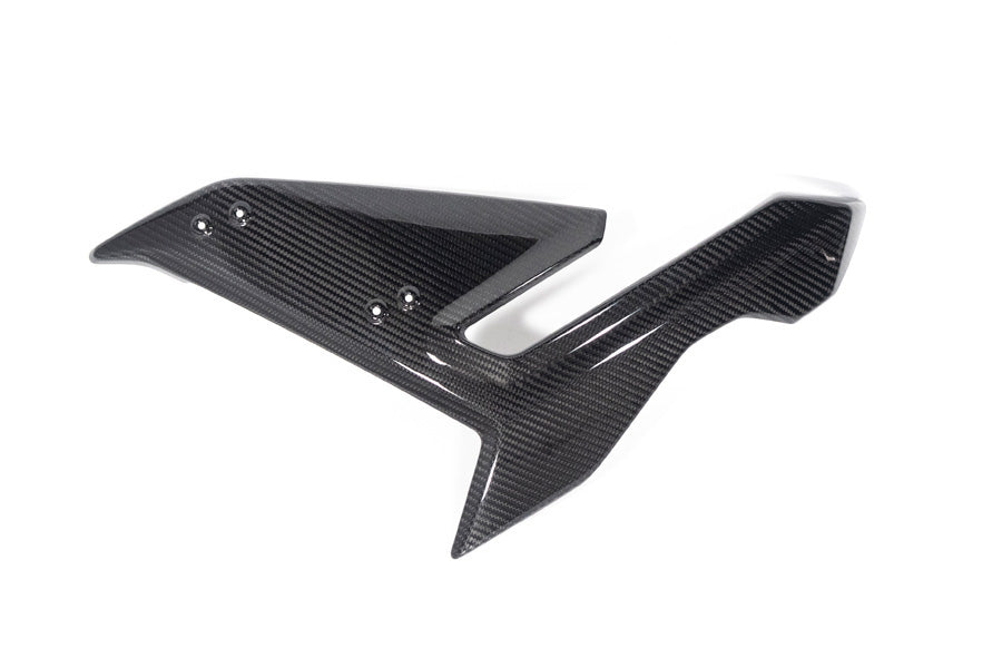 Ilmberger - Side Fairing for S 1000 R (36222)