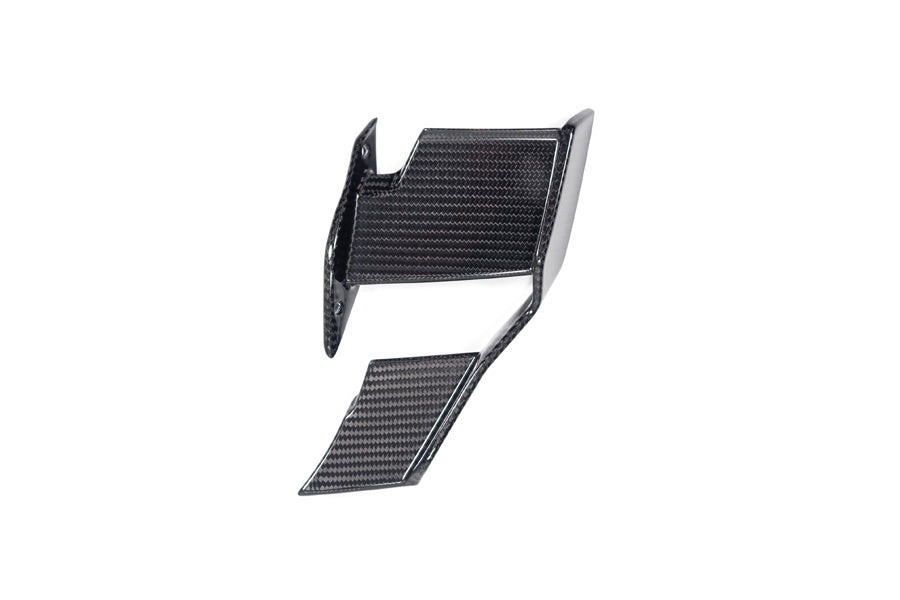 Ilmberger - Faring Side Winglet for M 1000 R