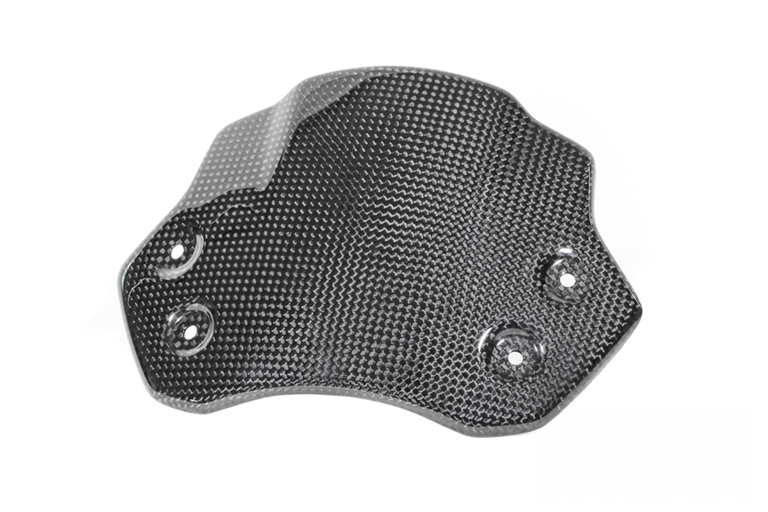 Ilmberger - Carbon Windshield for BMW R12 nineT (2024-)