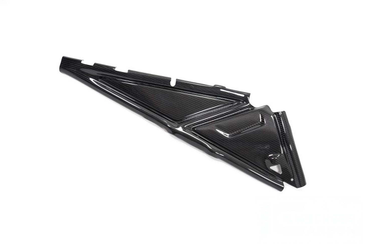 Ilmberger - Rear Frame Cover for R 1250 GS