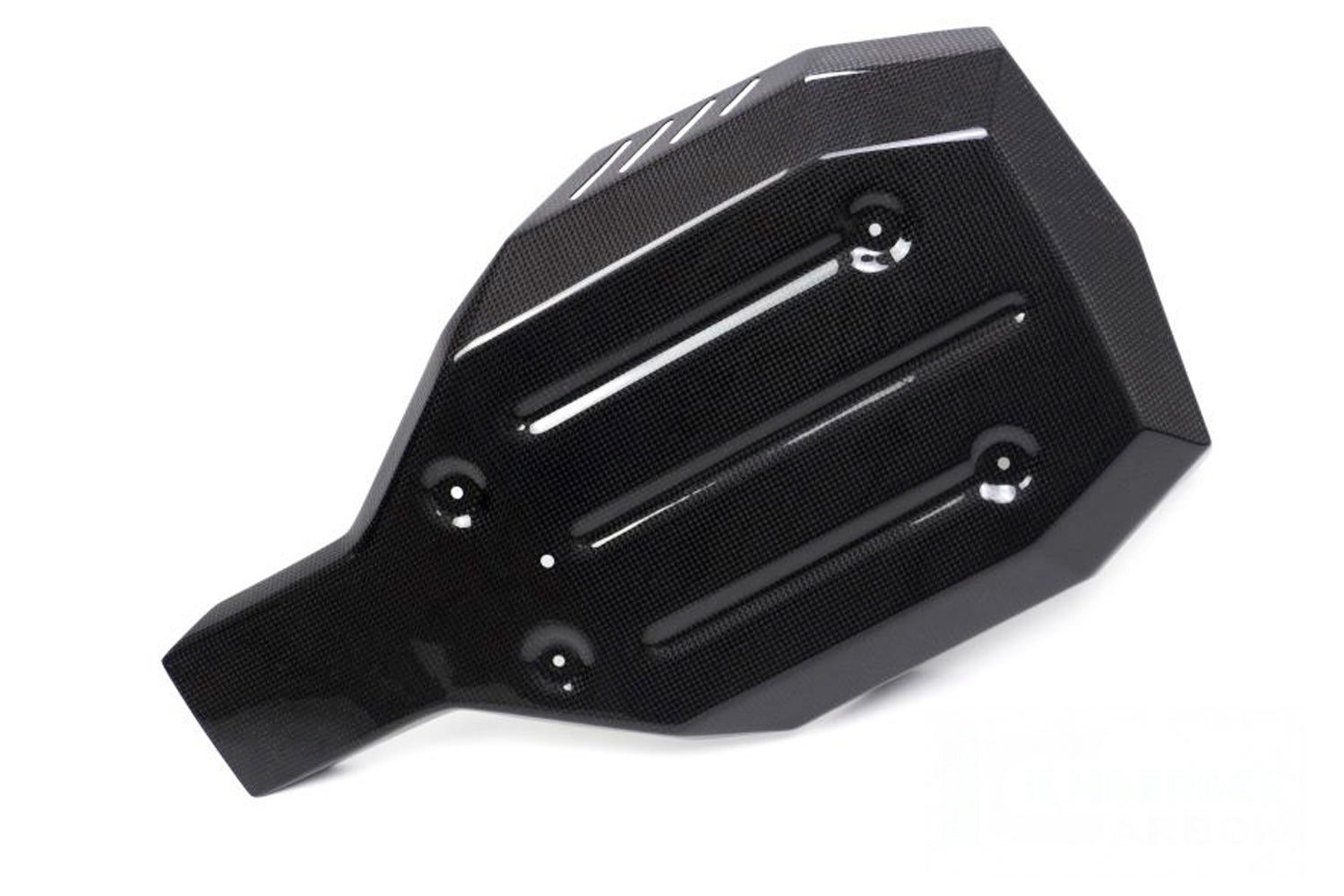 Ilmberger - Engine Protection for R nineT