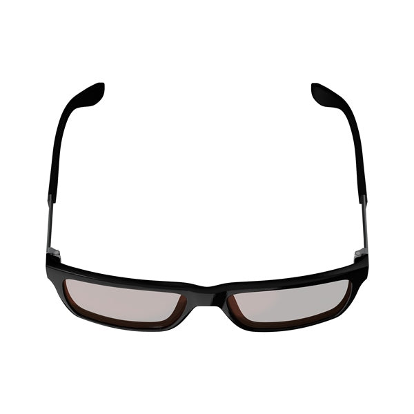 Leatt-SUNGLASSES THEVIZ SIERRA BK/SI BRW/SI 8026013900 6009556579484