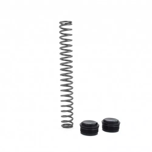ÖHLINS - Street Fork Spring Kit (FSK 119)