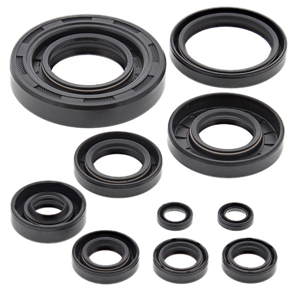 VertexWinderosa - Oil Seal Sets (822304)
