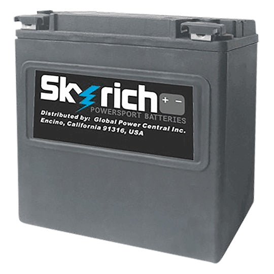 Skyrich - Battery Lithium Ion Super Performance