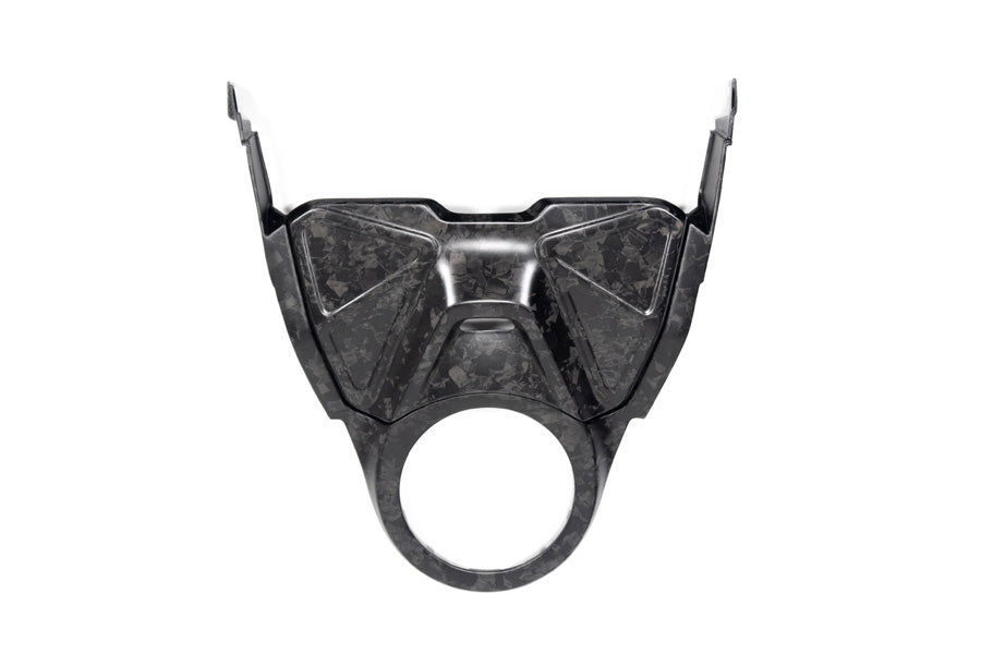 Ilmberger - Upper Tank Cover Set for R 1300 GS