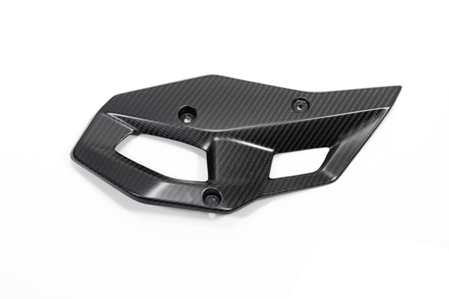 Ilmberger - Heel Protector for R 1300 GS