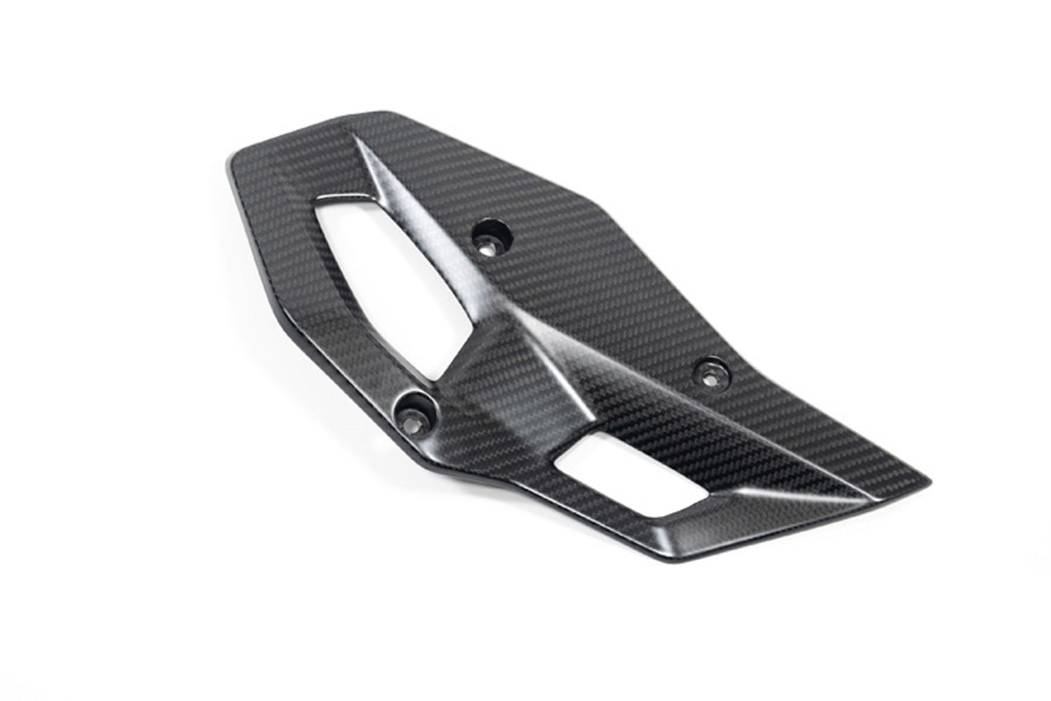 Ilmberger - Heel Protector for R 1300 GS