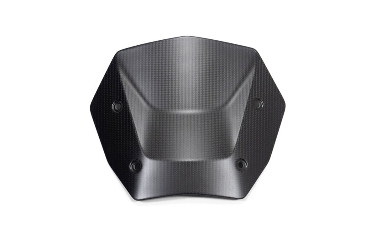 Ilmberger - Windshield for R 1300 GS