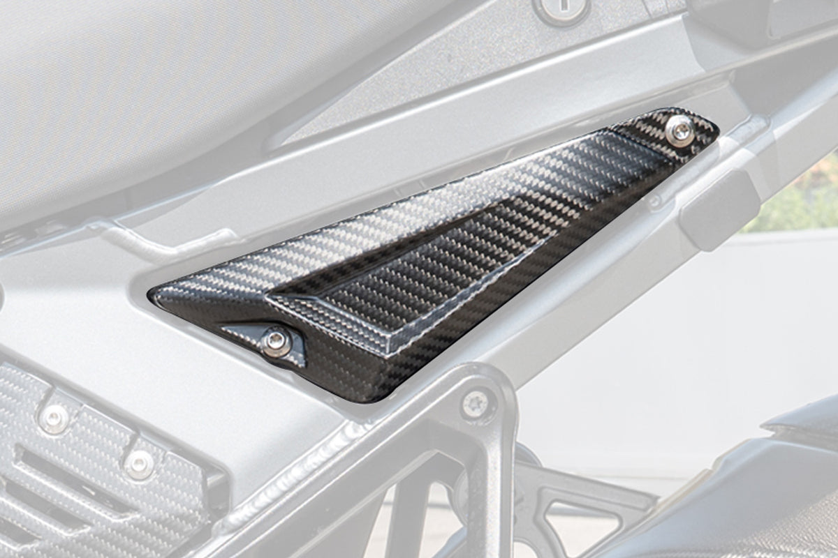 Ilmberger - Rear Triangle Cover for Rear Frame for R 1300 GS Adventure