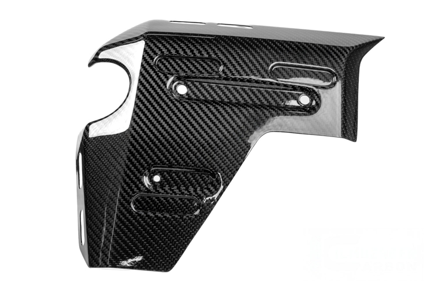 Ilmberger - Water Radiator Cover for R 1300 GS Adventure