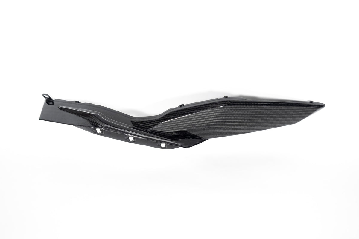 Ilmberger - Side Cover for Lower Tank for S 1000 XR / for M 1000 XR